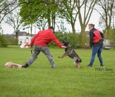 Boarding and training