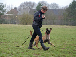 Clinic obedience with our interns